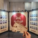 집중국 2층 A구역 | 2026 레드북 내돈내산 재관람 후기 / 경기아트센터 2층 A구역 5열 시야후기