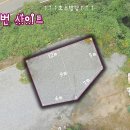 충주호 더 쉼 캠핑장, 4번 사이트 후기 (모든 사이트 뷰 사진 포함)