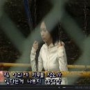 네코켓 이미지
