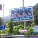 염티리 이미지