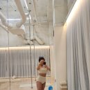 이지스핀 이미지