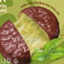 모찌의숲