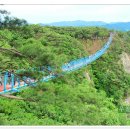 출렁다리 이미지