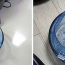 로만렌탈 이미지