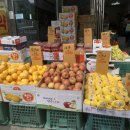 금오동물병원 이미지