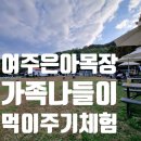 안전목장 | 여주 은아목장 가족 나들이 솔직 후기