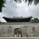 스테이카멜7 이미지