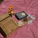 뚝섬한강공원-24 이미지