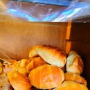 하나 호스텔 | 청주 성안길 카페 추천 소금빵 맛집 커피호스텔 본점 솔직후기