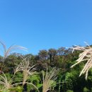 바람결-시간의 흐름 이미지