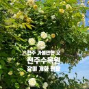 서전주 졸음쉼터 | [전주 가볼만한 곳] 전주수목원 장미 개화 현황 (ft. 주말 방문 주차)