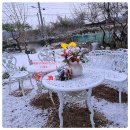 도혜원민박 이미지