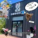 댕댕이 애견샵 | (완주)삼봉지구 강아지미용샵추천/ 애견미용실 {미용하러오개} 가격,후기+우리집댕댕이자랑
