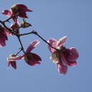 부천체육관 이미지