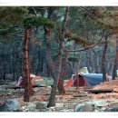 박달재자연휴양림 이미지