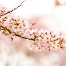 낭만느림보 | 제주도여행 서귀포숙소 낭만느림보하우스 제주도 풍경사진 모음집 1