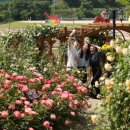 임실치즈테마파크5 이미지