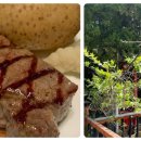 장고갯로10 이미지