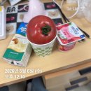 월드컵  노래연습장 | 5월 4일 - 10일 일상