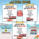 제주 스쿠버다이빙 자격증 오픈워터!! 15년 경력