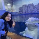 고음농장 이미지