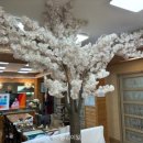 황금어장 대소점 이미지