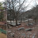 봉수산숲펜션 - 35145 | 봉수산숲펜션