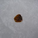 태학산약수 이미지