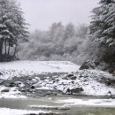 살둔산장 이미지