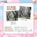 팔조천 이미지