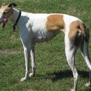 영민상회 이미지