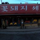 꽃돼지세상