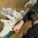 김광석농장 이미지