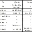 손해보험과 생명보험의 차이점(사망보장금의 보장범위) 이미지