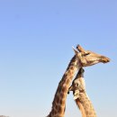 오태초등학교 병설유치원 이미지