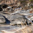 사선대주차장화장실 이미지