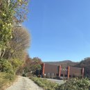 멍뭉이 | [안성애견동반카페]자연뷰 +테라스 +멍뭉이=힐링 “카페문 안성원곡점” 후기