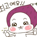 초록온담 김사장 읍내점