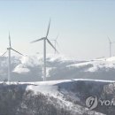 양양산업㈜ 이미지