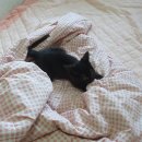 뉴그랜드장 이미지