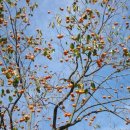 감동펜션 이미지