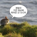 아임파인 이미지