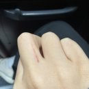 퀼트앳홈