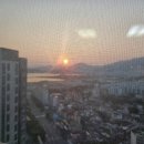 대우마린공인중개사사무소 이미지