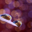 캐럿21약국 이미지