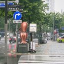 호남한의원 | 용두동쭈꾸미 나정순할매쭈꾸미 호남식당 후기 내돈내산이다요!