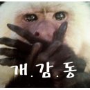 프로손세차 이미지