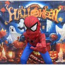 쌍동초등학교 이미지