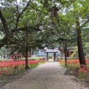 갈계숲화장실 이미지