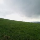 진부령 목장 이미지